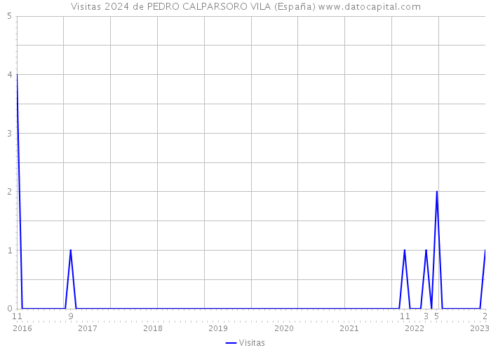 Visitas 2024 de PEDRO CALPARSORO VILA (España) 