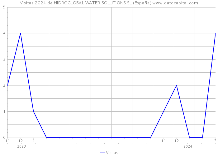 Visitas 2024 de HIDROGLOBAL WATER SOLUTIONS SL (España) 