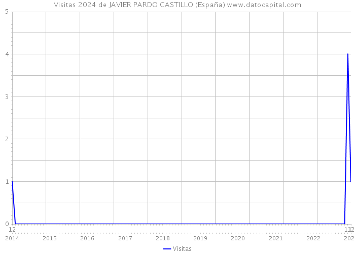 Visitas 2024 de JAVIER PARDO CASTILLO (España) 