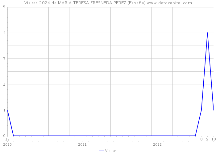 Visitas 2024 de MARIA TERESA FRESNEDA PEREZ (España) 