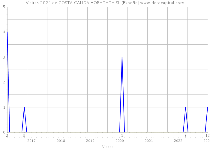 Visitas 2024 de COSTA CALIDA HORADADA SL (España) 