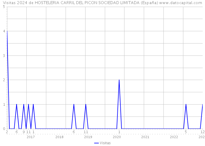 Visitas 2024 de HOSTELERIA CARRIL DEL PICON SOCIEDAD LIMITADA (España) 