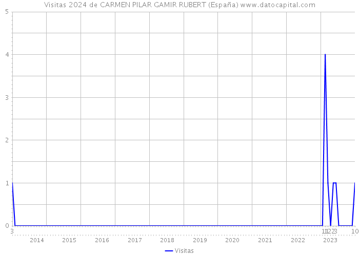 Visitas 2024 de CARMEN PILAR GAMIR RUBERT (España) 