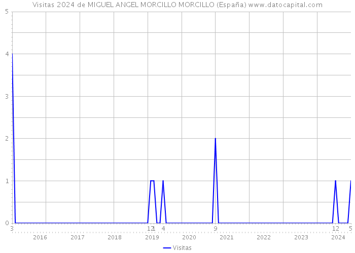 Visitas 2024 de MIGUEL ANGEL MORCILLO MORCILLO (España) 