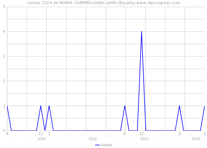 Visitas 2024 de MARIA CARMEN LAMA LAMA (España) 
