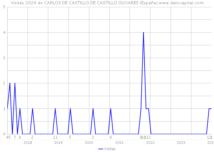 Visitas 2024 de CARLOS DE CASTILLO DE CASTILLO OLIVARES (España) 