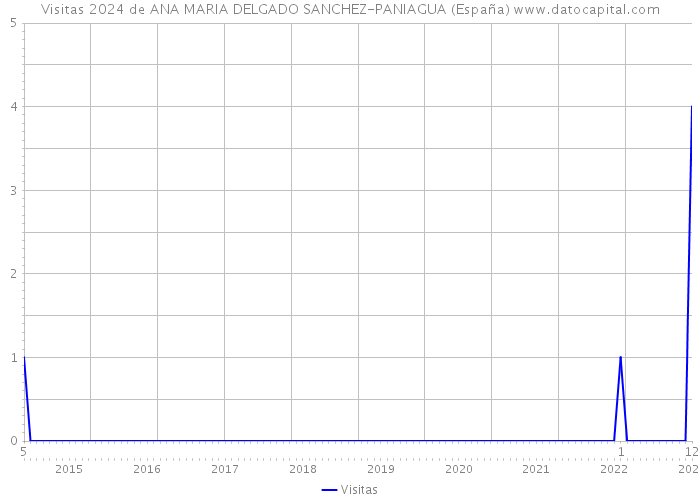 Visitas 2024 de ANA MARIA DELGADO SANCHEZ-PANIAGUA (España) 
