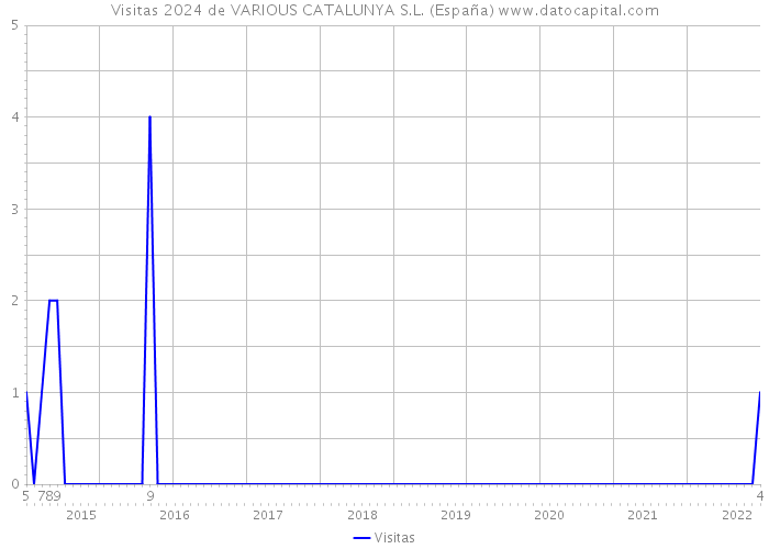 Visitas 2024 de VARIOUS CATALUNYA S.L. (España) 
