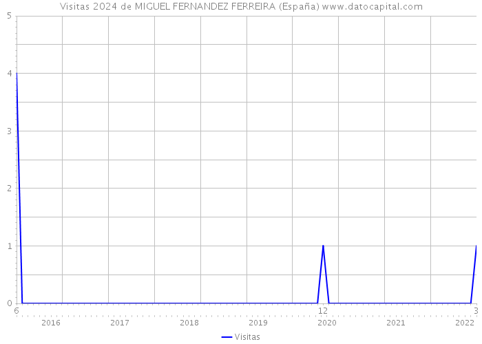 Visitas 2024 de MIGUEL FERNANDEZ FERREIRA (España) 
