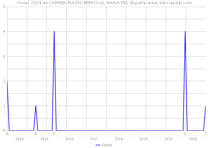 Visitas 2024 de CARMEN PULIDO BERROCAL MARIA DEL (España) 