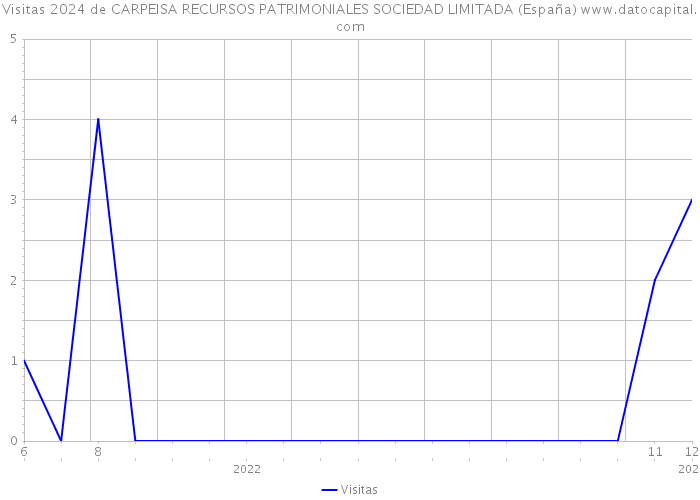 Visitas 2024 de CARPEISA RECURSOS PATRIMONIALES SOCIEDAD LIMITADA (España) 