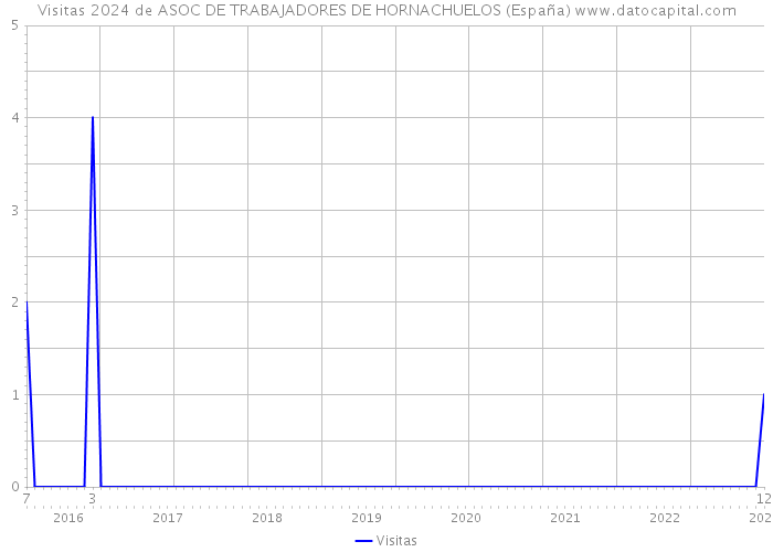 Visitas 2024 de ASOC DE TRABAJADORES DE HORNACHUELOS (España) 