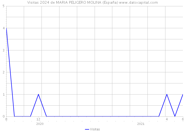 Visitas 2024 de MARIA PELIGERO MOLINA (España) 