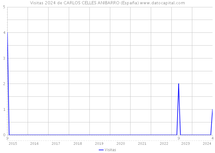Visitas 2024 de CARLOS CELLES ANIBARRO (España) 