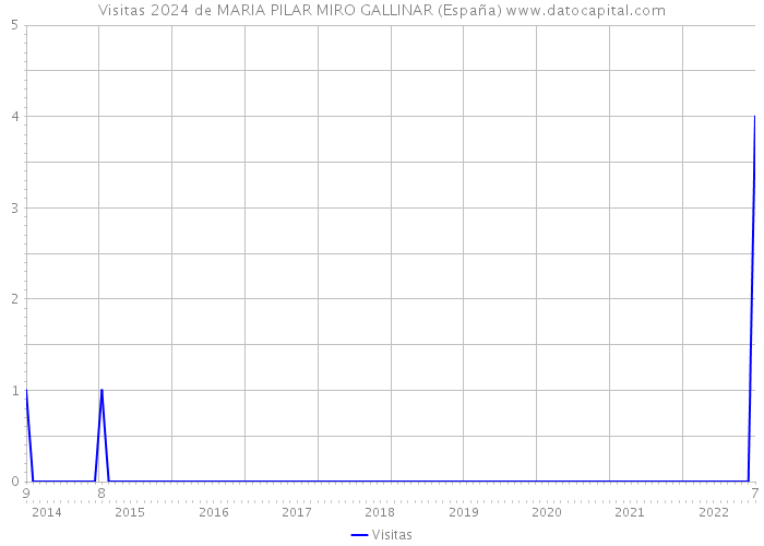 Visitas 2024 de MARIA PILAR MIRO GALLINAR (España) 