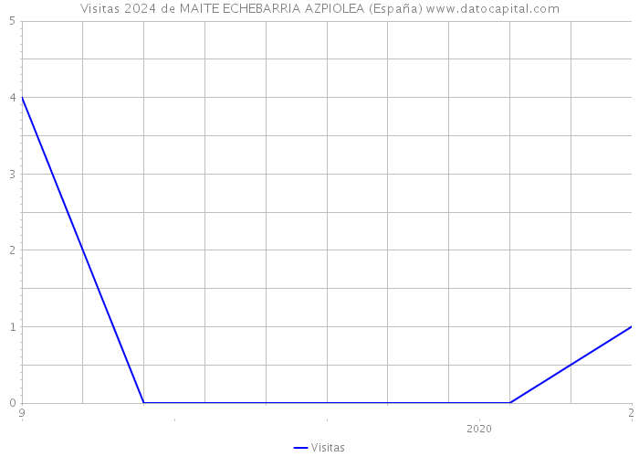 Visitas 2024 de MAITE ECHEBARRIA AZPIOLEA (España) 