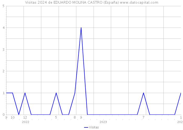 Visitas 2024 de EDUARDO MOLINA CASTRO (España) 