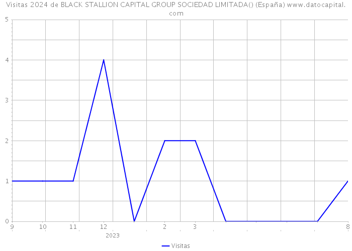 Visitas 2024 de BLACK STALLION CAPITAL GROUP SOCIEDAD LIMITADA() (España) 
