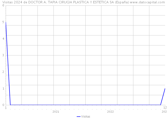 Visitas 2024 de DOCTOR A. TAPIA CIRUGIA PLASTICA Y ESTETICA SA (España) 