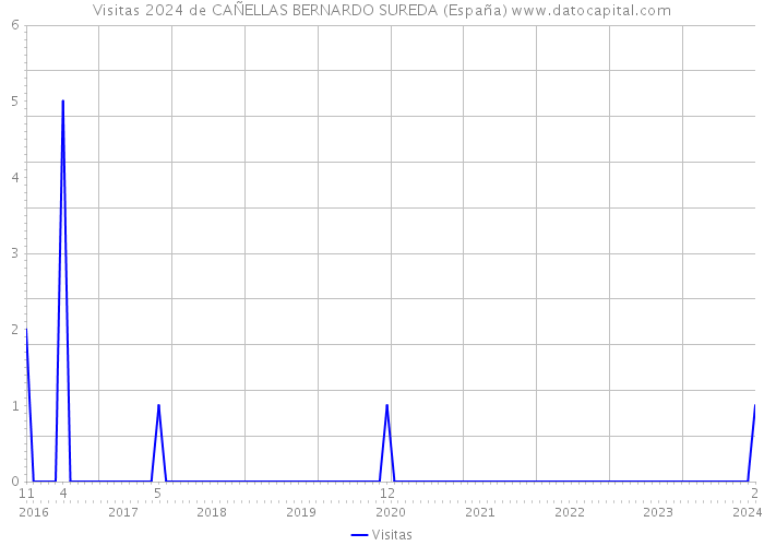 Visitas 2024 de CAÑELLAS BERNARDO SUREDA (España) 
