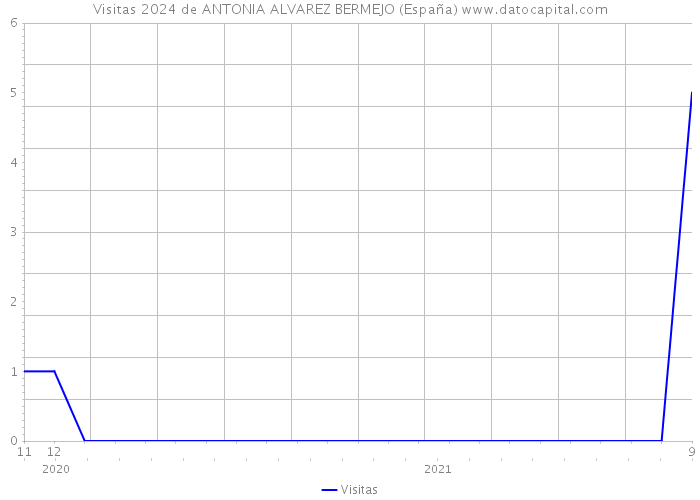 Visitas 2024 de ANTONIA ALVAREZ BERMEJO (España) 