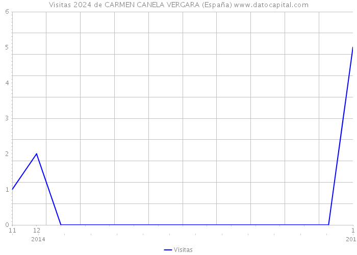 Visitas 2024 de CARMEN CANELA VERGARA (España) 