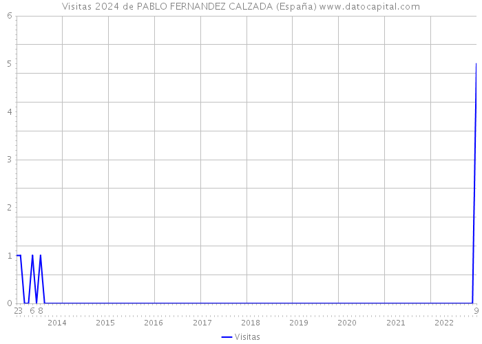 Visitas 2024 de PABLO FERNANDEZ CALZADA (España) 