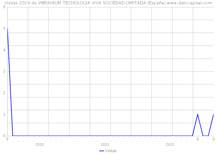 Visitas 2024 de VIBRANIUM TECNOLOGIA VIVA SOCIEDAD LIMITADA (España) 
