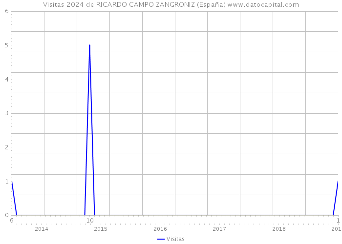 Visitas 2024 de RICARDO CAMPO ZANGRONIZ (España) 