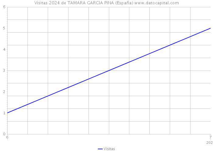Visitas 2024 de TAMARA GARCIA PINA (España) 