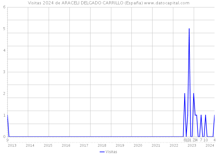Visitas 2024 de ARACELI DELGADO CARRILLO (España) 