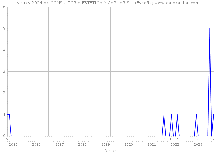 Visitas 2024 de CONSULTORIA ESTETICA Y CAPILAR S.L. (España) 