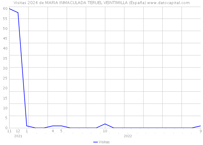 Visitas 2024 de MARIA INMACULADA TERUEL VEINTIMILLA (España) 