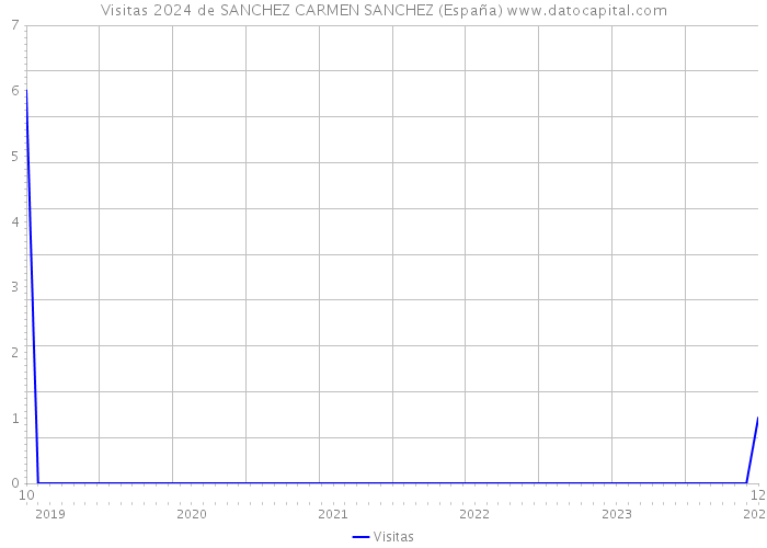 Visitas 2024 de SANCHEZ CARMEN SANCHEZ (España) 