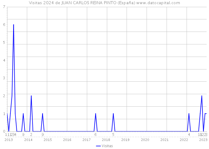 Visitas 2024 de JUAN CARLOS REINA PINTO (España) 