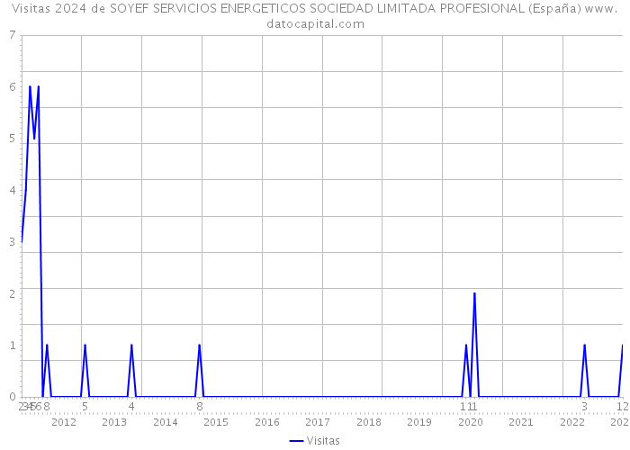 Visitas 2024 de SOYEF SERVICIOS ENERGETICOS SOCIEDAD LIMITADA PROFESIONAL (España) 