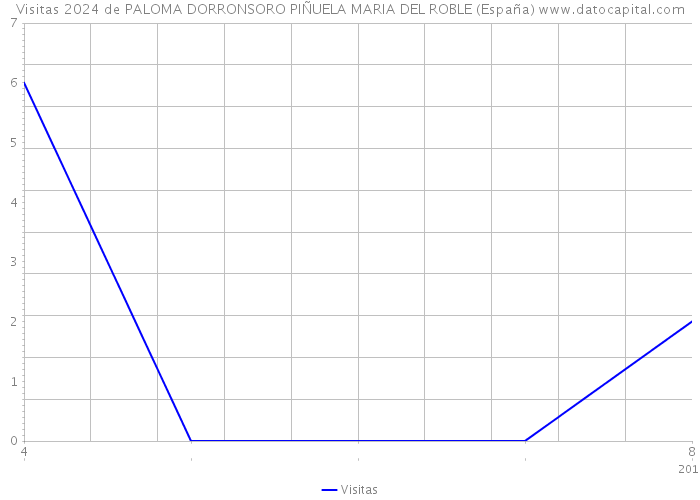 Visitas 2024 de PALOMA DORRONSORO PIÑUELA MARIA DEL ROBLE (España) 