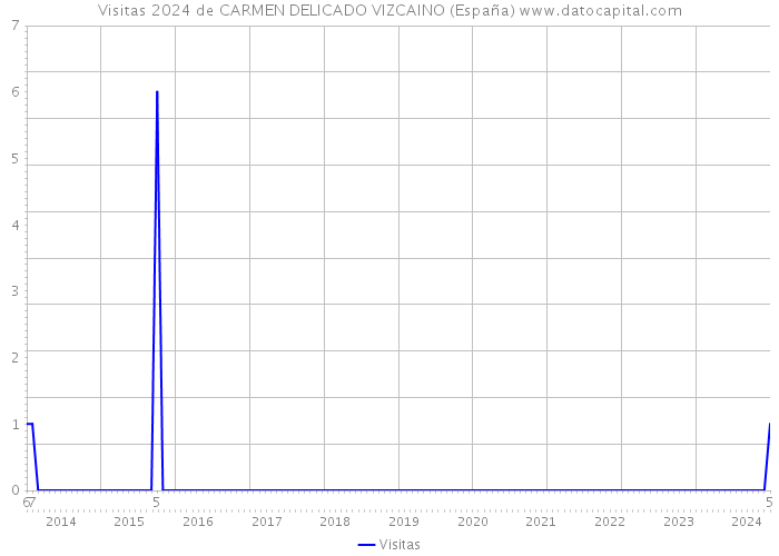 Visitas 2024 de CARMEN DELICADO VIZCAINO (España) 