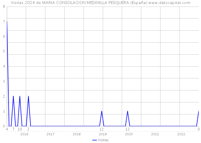Visitas 2024 de MARIA CONSOLACION MEDINILLA PESQUERA (España) 