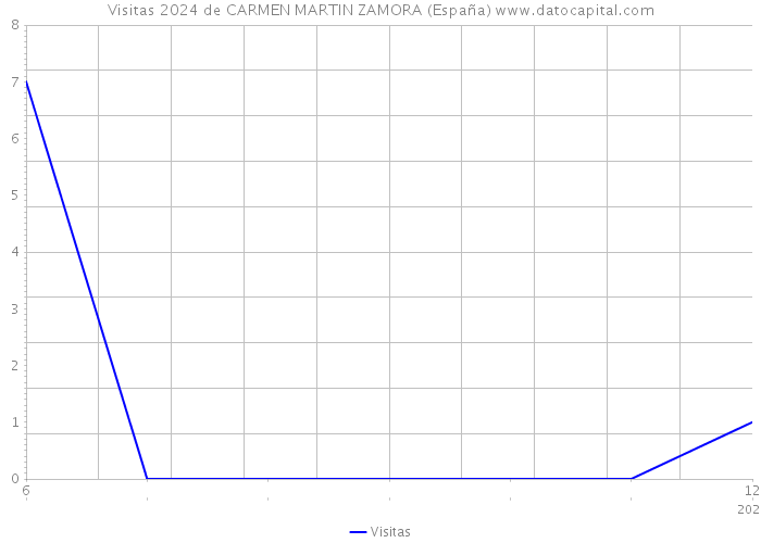 Visitas 2024 de CARMEN MARTIN ZAMORA (España) 