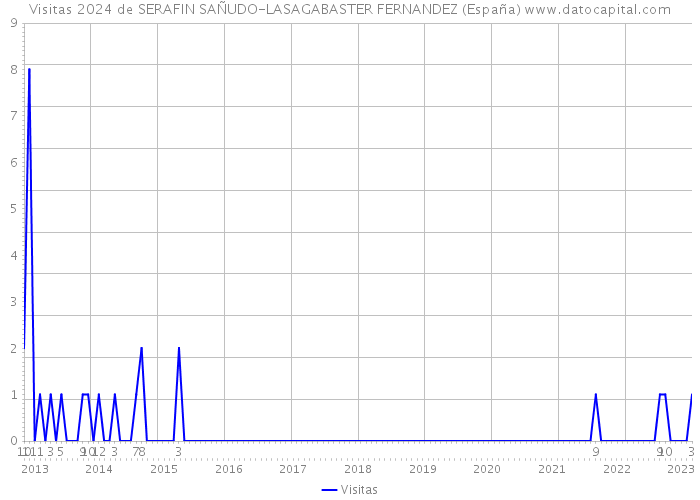 Visitas 2024 de SERAFIN SAÑUDO-LASAGABASTER FERNANDEZ (España) 